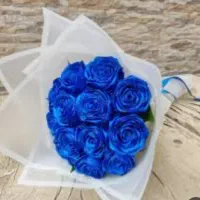 گل روبانی زیبا|گل مصنوعی|اردبیل, |دیوار