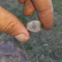 سنگ|جواهرات|خرمآباد, |دیوار