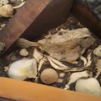 میز ناهار خوری