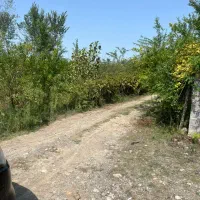 فروش مناسب ویلاباغ ۱۵۰۰متری بازیربنای ۹۰متری|فروش خانه و ویلا|شاندرمن, |دیوار