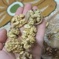 گردوخشک کهمان