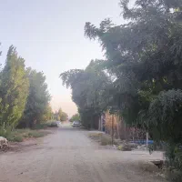 باغچه 220 متری  سهمیه آب عالی