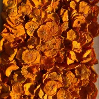 فروش عمده خرمالو خشک