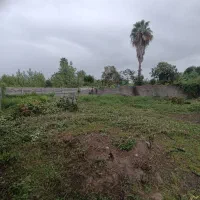 فروش زمین ۵۰۰ متری در ولی اباد شهرک لادن