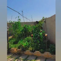 اجاره‌کوتاه‌مدت‌ویلا‌وباغ«ساعت،روزانه»|اجارهٔ کوتاه‌مدت ویلا و باغ|ورامین, ورامین|دیوار