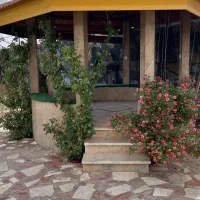 باغ-1200متری-نهضت-اباد