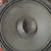 ساب ووفر دایناکورد|صوتی و تصویری|شیراز, کرونی(خاتونک)|دیوار