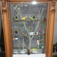 قفس دست ساز ویترینی