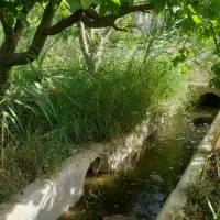 باغچه ۵۰۰متری پیشک۲|فروش زمین و ملک کلنگی|ماهدشت, |دیوار