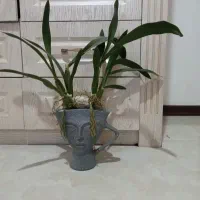 گلدان طرح چهره بانو ایرانی بهمراه گل مصنوعی