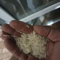 برنج طارم هاشمی معطر