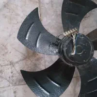 فن بزرگ مخصوص سوله ونانوایی