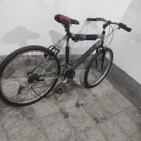 دوچرخه ویوا