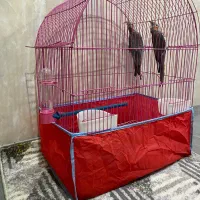 قفس بزرگ|لوازم جانبی حیوانات|بروجرد, |دیوار