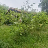 اجاره ویلاباغ دوخواب حیاط بزرگ دربست باامکانات|اجارهٔ کوتاهمدت ویلا و باغ|ماسال, |دیوار