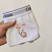 نخی و باکیفیت|لباس|لاهیجان, شیشه گران|دیوار