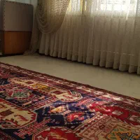 کناره دستبافت ابعاد ۱۲۵در ۳۱۰|فرش|تهران, پاسداران|دیوار