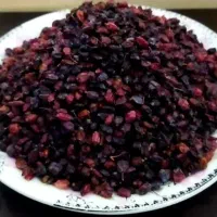 زرشک کوهی|خوردنی و آشامیدنی|مشهد, ابوذر|دیوار