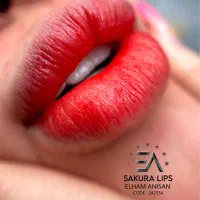 تخفیف ویژه شیدینگ لب|خدمات آرایشگری و زیبایی|بوشهر, |دیوار