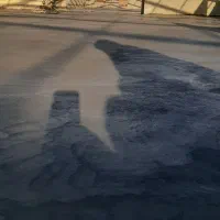 بتن ریزی با ماله پروانه|خدمات پیشه و مهارت|تویسرکان, |دیوار