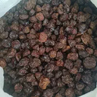 الو تمیز نرم خوش مزه