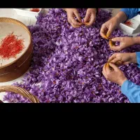 درجه یک درجه یک اعلا زعفران تربت حیدریه|خوردنی و آشامیدنی|گرگان, |دیوار