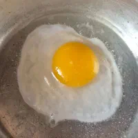 تخم مرغابی سرشاراز ویتامین و پروتئین بسیار غنی