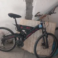 محکم سالم دنده ای