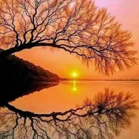 حرس کارهای باغبانی