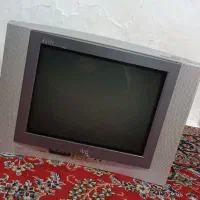 تلوزیون