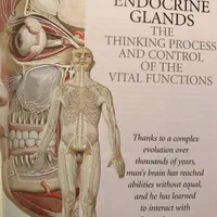 اطلس اناتومی ATLAS OF ANATOMY|کتاب و مجله آموزشی|کلاردشت, |دیوار
