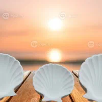 سنگ مصنوعی و بیس خام