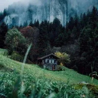 بیمه با بخشودگی جرایم