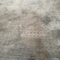 همخونه-همخانه