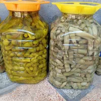 ترشی نر بیلهر