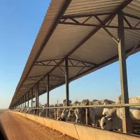 استخدام نیرو کار آقا