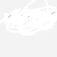 فروشنده مغازه حرفه ای و خوش اخلاق مواد غذایی