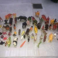 حیوان جنس مرغوب