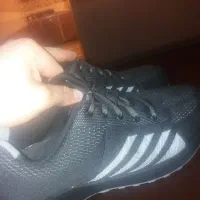 کفش نواستفاده نشده