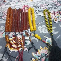 اسب|اسب و تجهیزات اسب‌سواری|سنندج, |دیوار