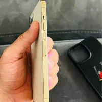 13 pro max|موبایل|بندرعباس, |دیوار