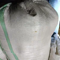 کاه گندم|لوازم جانبی حیوانات|آبپخش, |دیوار