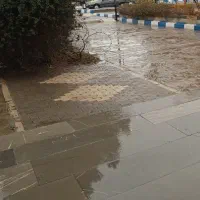 شریک میشم ‌‌.