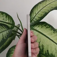 آیفون ۱۳|موبایل|ایلام, |دیوار