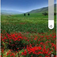 زمین سمغان فروش فوری پول نیازم