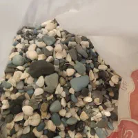 دوتاآکواریوم|ماهی|کرمانشاه, |دیوار