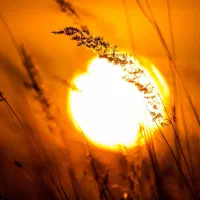 طراحی لوگو چاپ لیبل جعبه تراکت پاکت نامه