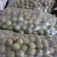 گردو درجه یک ودرشت|خوردنی و آشامیدنی|تهران, مسگرآباد|دیوار