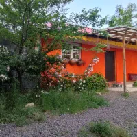 کلبه-روستایی-جنگلی-استخر-دار-سرپوشیده