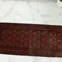 یه عدد|فرش|تربت‌حیدریه, داروپخش|دیوار